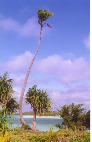 Aitutaki - the idyllic island